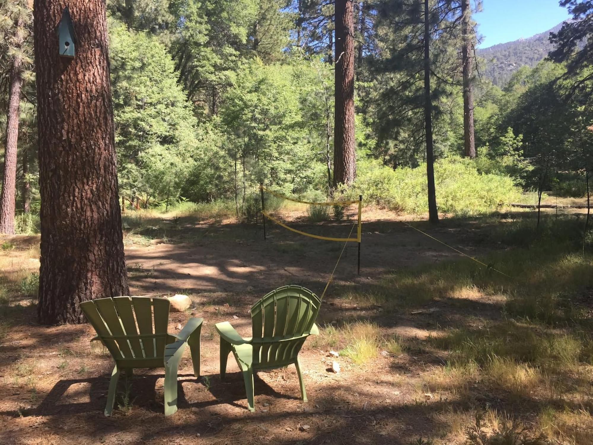 Ahwahnee-Be Vintage Cabin - Walk To Town! アイディルワイルド エクステリア 写真